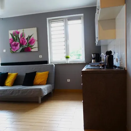Appartement Miku - *