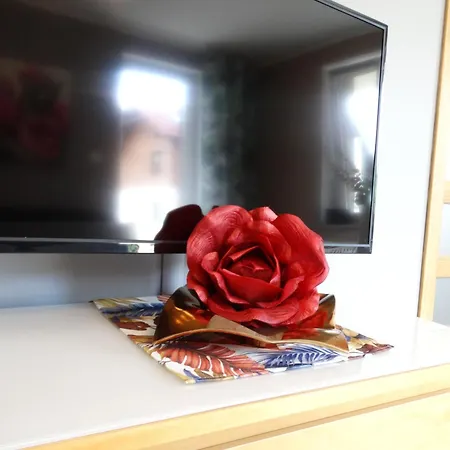 Miku Polanica-Zdrój