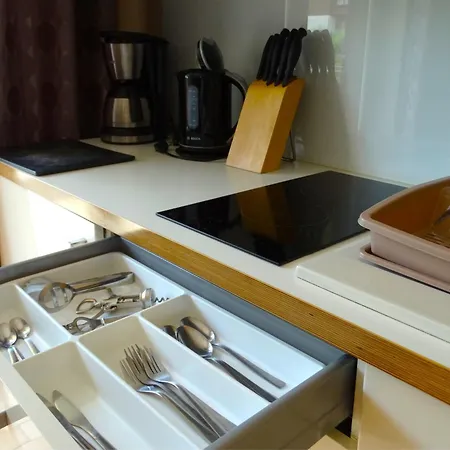 Miku Apartment *