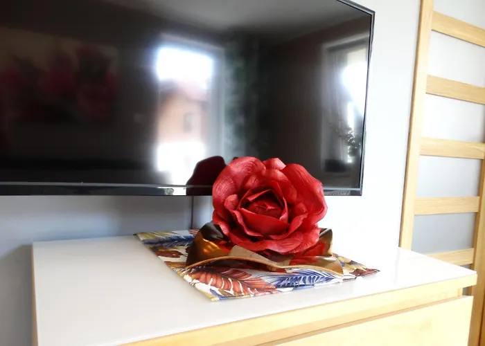 Miku Polanica-Zdrój